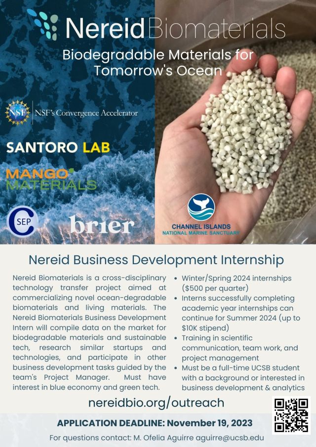 Business Summer Internships 2025 Opportunities