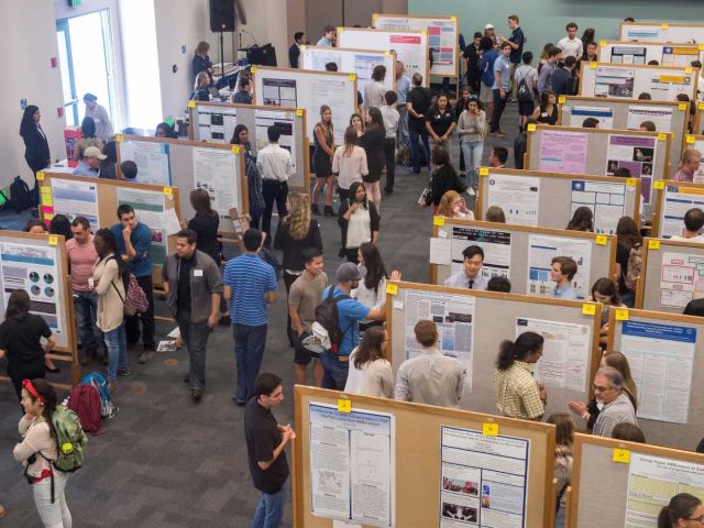 Creating New Knowledge