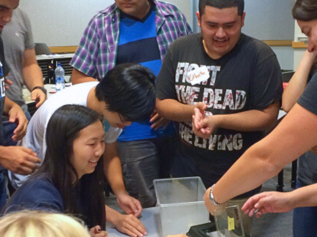 SSTstudents working in group 2015